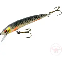 Nils Master Invincible 12 cm vaappu