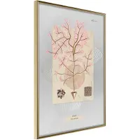 Artgeist Seaweed juliste