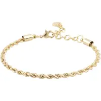Sno of sweden Exibit Brace Plain Gold 16cm