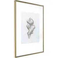 Artgeist Ginger Rhizome juliste