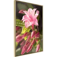 Artgeist Garden'S Centerpiece juliste