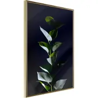 Artgeist Floral Elegance juliste
