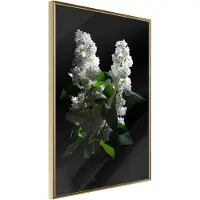 Artgeist White Lilac juliste