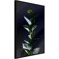 Artgeist Floral Elegance juliste