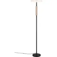 TRIO Lighting Led lattiavalaisin Celeste, himmennettävä, Musta, Olohuone/ruokailutila, Metalli, Moderni