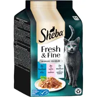 Sheba 72x50g Fresh & Fine tonnikala, lohi & valkoinen kala hyytelössä Pedigree