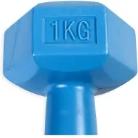 ASG Handweight 1 kg vinyl