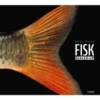 FISK - scaled-up