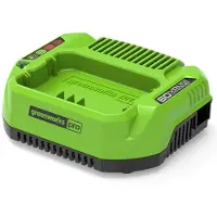 Greenworks Laturi G60UC; 60 V