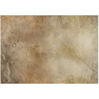 Artgeist Golden Leaves of Time fototapetti
