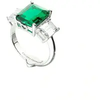 CHIARA FERRAGNI J19awj05012 Rengas