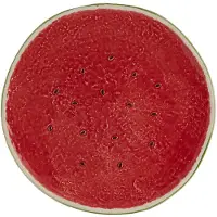 Bordallo Pinheiro - Watermelon Tarjoiluastia 33 cm Punainen/Vihreä