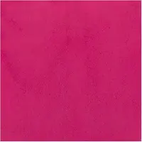 Bruynzeel - Ecola Poster Paint Bottle 16ml Tyrian Pink 359