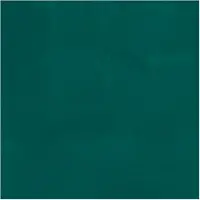 Bruynzeel - Ecola Poster Paint Bottle 16ml Dark Green 602