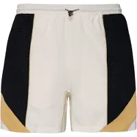 Nike Urheiluhousut 'Strike' norsunluu / cappuccino / musta