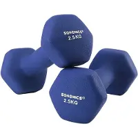 Songmics Liukumattomat kuusikulmaiset käsipainot 2x2,5 kg - Tilaa säästävä ja kirkkaan sininen