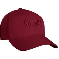 Suarez Bend 2.4 Lippis