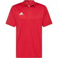 Adidas Entrada 22 Lyhythihainen Pikeepaita