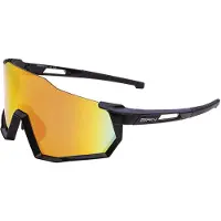BRN Tr100 Polarisoidut Aurinkolasit
