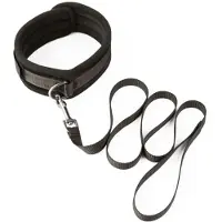 Sei mio Take The Lead Padded Neck Collar & Leash