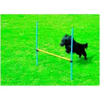 Pawise Ketteryysaita 16 Cm