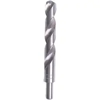 Specialist Metalliporanterä Premium; 20x205 mm