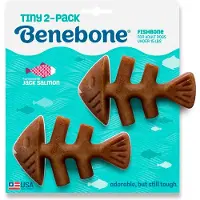Benebone - Fishbone 2-Pack Mini - 12cm - (81005421034)