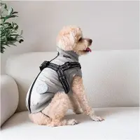 Nordic Paws Thor Koiran Takki