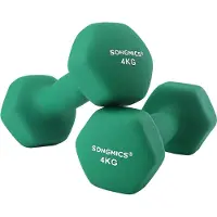 Songmics Painosetti 4 kg, 2 kpl.
