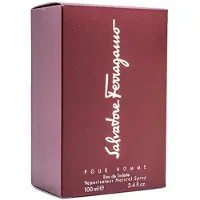 Salvatore Ferragamo Pour Homme EDT 100ml