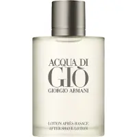 Giorgio Armani Acqua di Gio Homme, After Shave Lotion 100ml