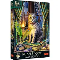 Trefl Varjojen kirja 1000p Premium Plus Palapeli