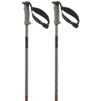 Salomon Polar Pro S3 Kävelysauvat