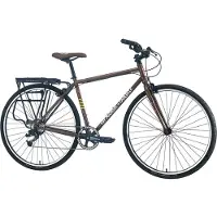 Fairdale Lookfar Fahrrad