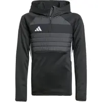 Adidas Tiro 25 Essentials Winterized Training Huppari