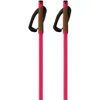 Fischer Storm Gtx M Kävelysauvat