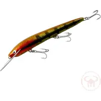 Nils Master Invincible Deep Runner 15 cm vaappu