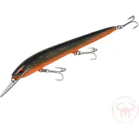 Nils Master Invincible Deep Runner 15 cm vaappu