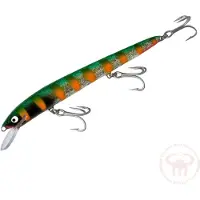 Nils Master Invincible 18 cm vaappu