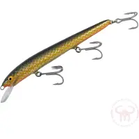 Nils Master Invincible 18 cm vaappu