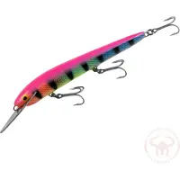 Nils Master Invincible Deep Runner 15 cm vaappu