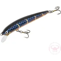 Nils Master Invincible 12 cm vaappu