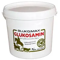 Ion Silver GlukoMax Glukosamin 1000 gr