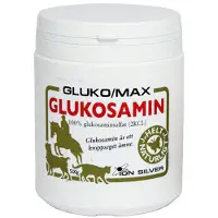 Ion Silver GlukoMax Glukosamin 500 gr