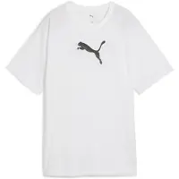 Puma Evostripe Graphic Relaxed Fit Lyhythihainen T-paita