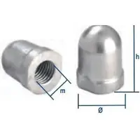 Tecnoseal Renault Couach -akselin Mutteri