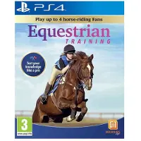Equestrian Training (4)