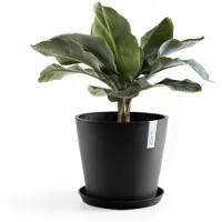 Ecopot's Amsterdam ruukku