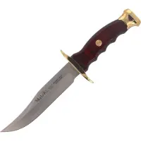 Muela Bowie 14