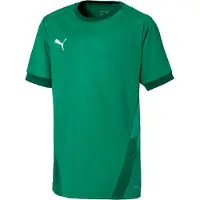 Puma Teinien T-paidat TeamGoal 23 Jerse Green 704160 05